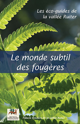 Publication Le monde subtil des fougères