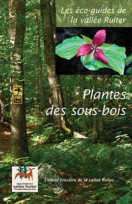 Publication Plante des sous-bois