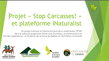 Affiche pour le projet Stop Carcasses