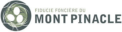 Logo Fiducie fonciere du mont pinacle